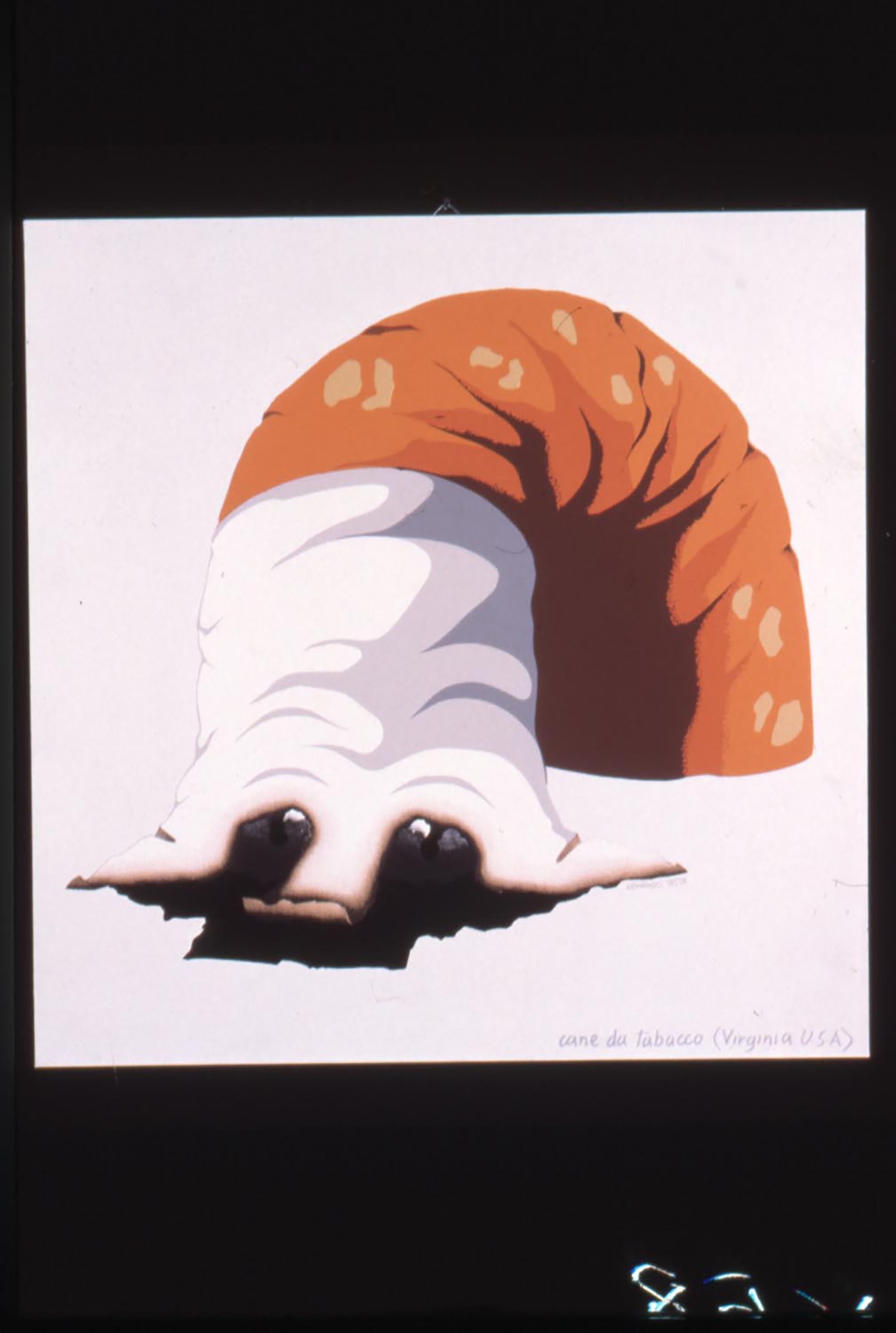 Armando Testa, Cane da tabacco, 1979